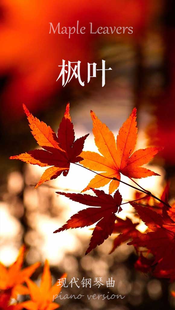 枫叶