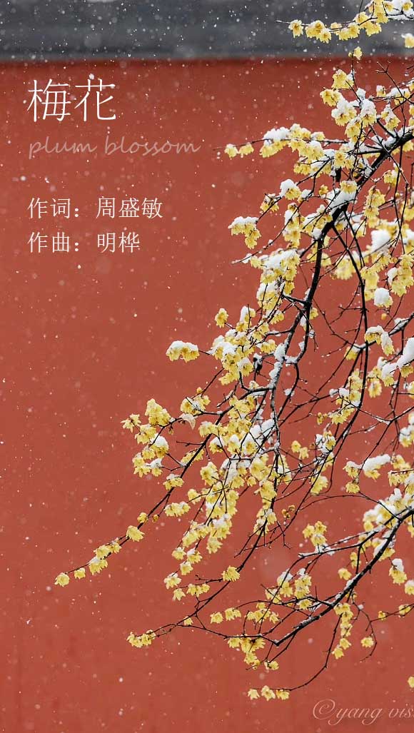 梅花