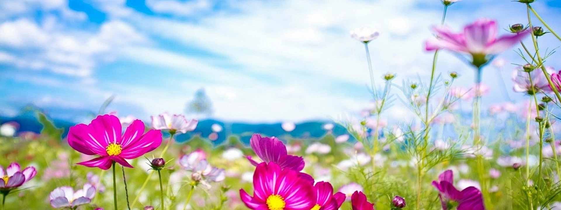 parallax background